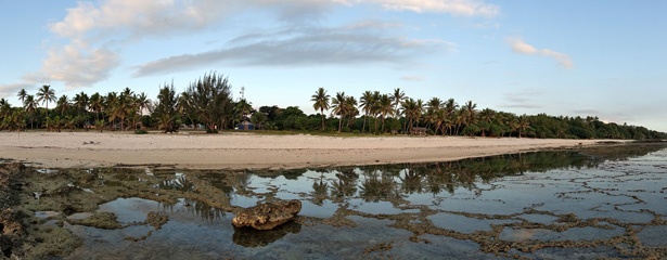 DSC08055a